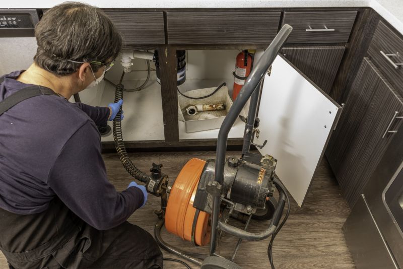 Professional Snake Removal in Action